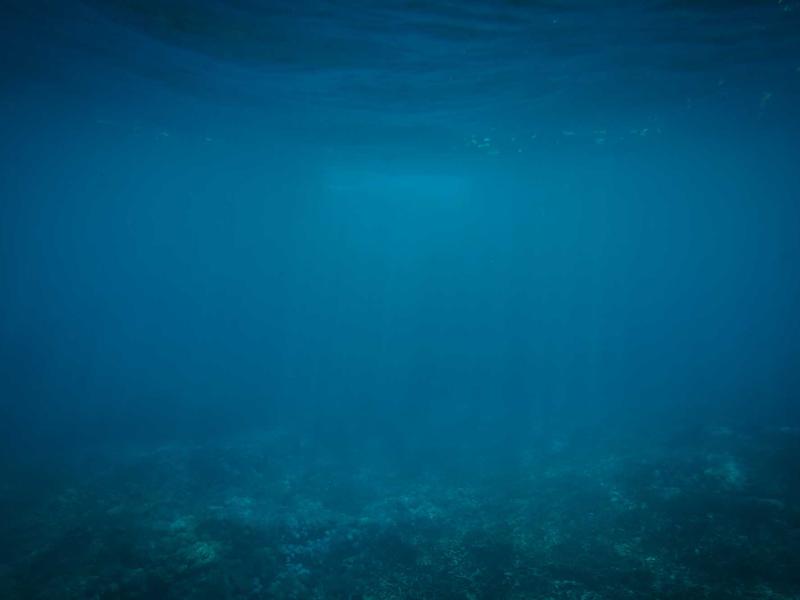 浮世绘春宫<br>lyi8kqqq.cn 喜多川歌麿